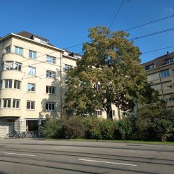Osteopathie-Johanniterhof-Basel-Aussen